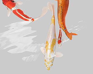 Xbox总裁：每年计划推出四款第一方游戏